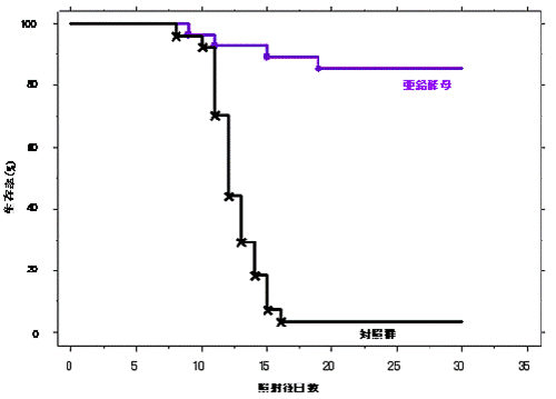X線7.5Gy マウス全身照射直後、亜鉛含有酵母(100mg/Kg)投与の30日間生存曲線(n=28)